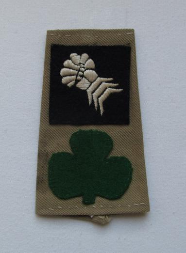 38th Irish Brigade / 6th Armoured Division