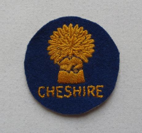 REs Cheshire 113 Assault Engineer Regt.