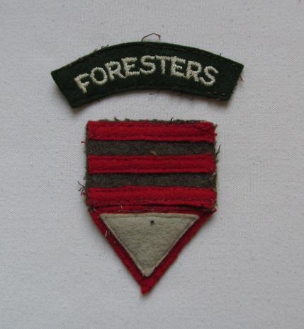 3rd Infantry Brigade / 1st Infantry Division / The Foresters