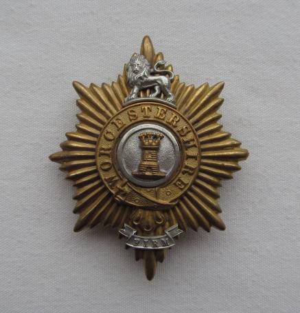 29th of Foot (Worcestershire Regt.) 1879-83