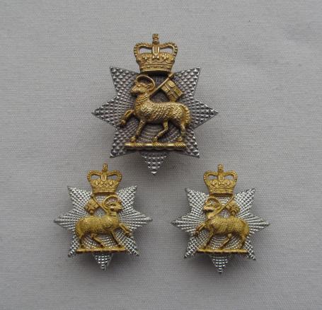 Queen's Royal Surrey Regt. Q/C  