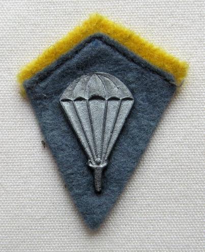 1st Polish Parachute Brigade