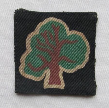 46th (North Midland and West Riding) Division