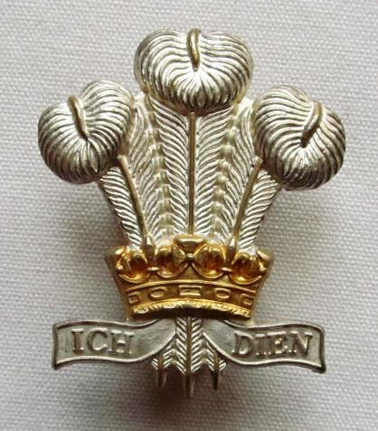 Royal Regt. of Wales  (24th / 41st of Foot)