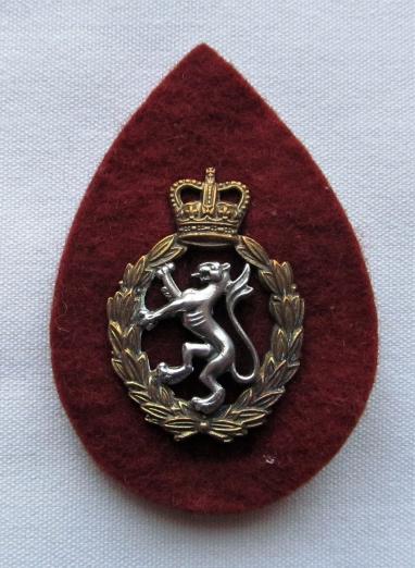 Women's Royal Army Corps Q/C